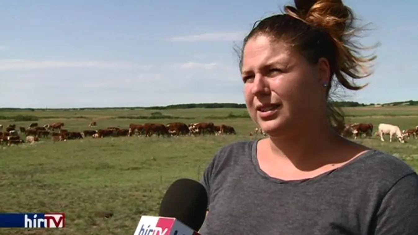 Több ezer állat gondozását irányítja