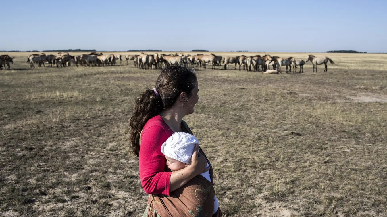 Pusztai pedikűr – Két nő a Hortobágyon, vadlovak között