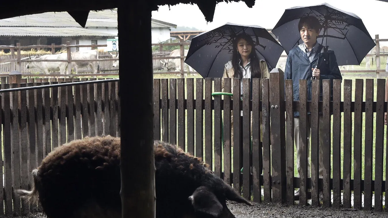 Hercegi család érkezett Mészáros sertéstelepére