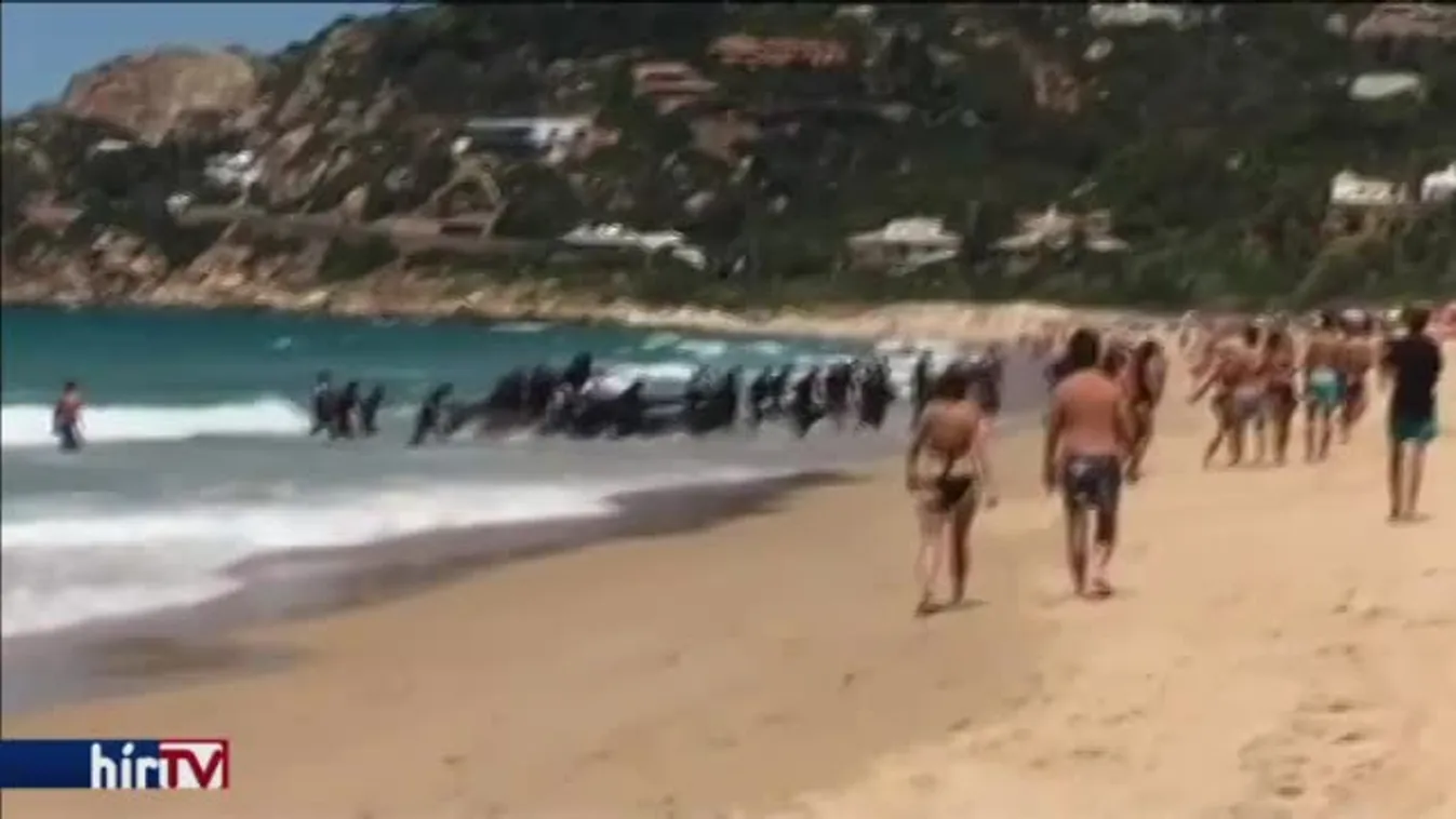 Lövésekkel fordítottak vissza egy migránsmentő hajót