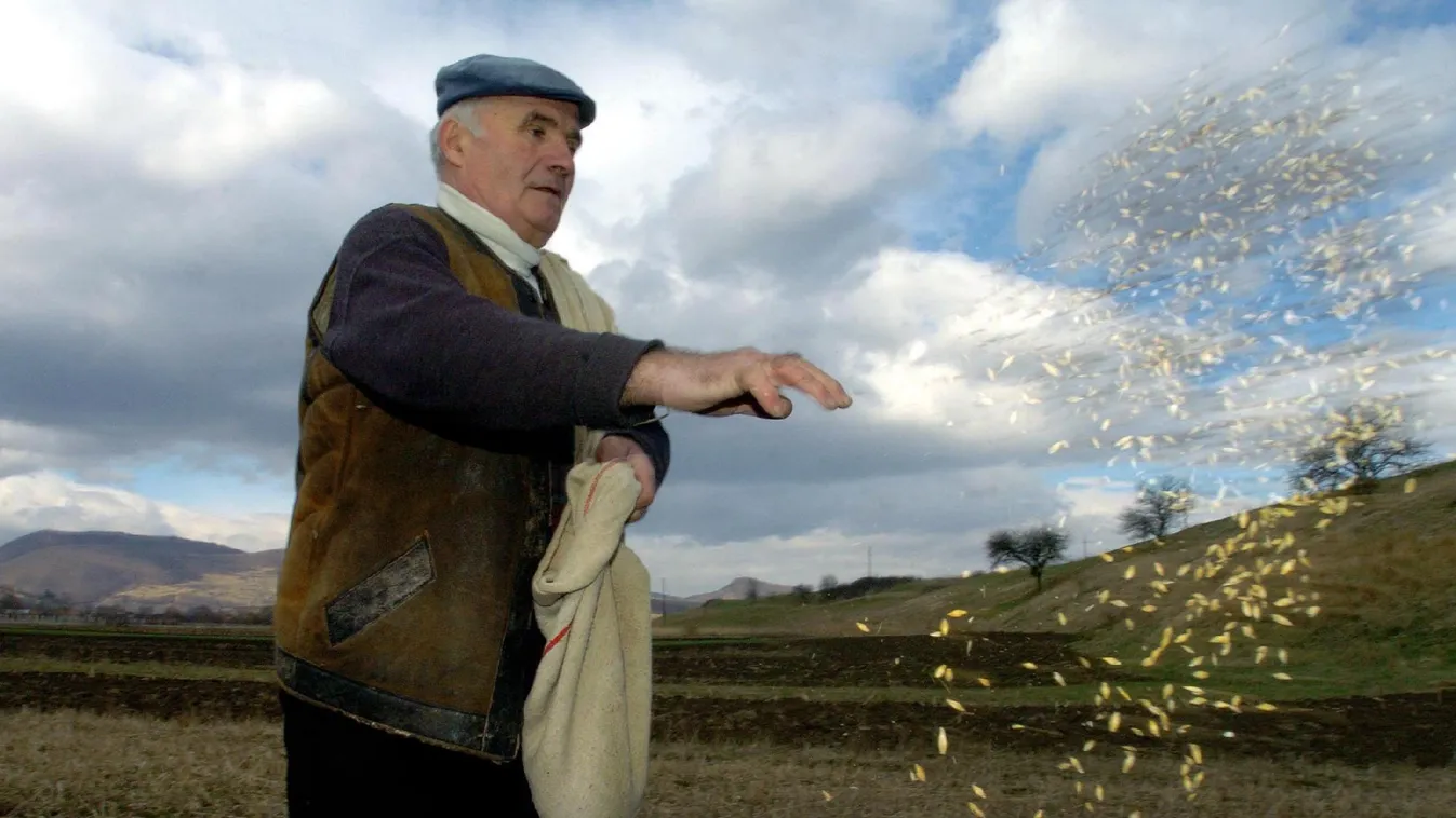 Az éghajlatváltozás legnagyobb vesztese a tavaszi árpa