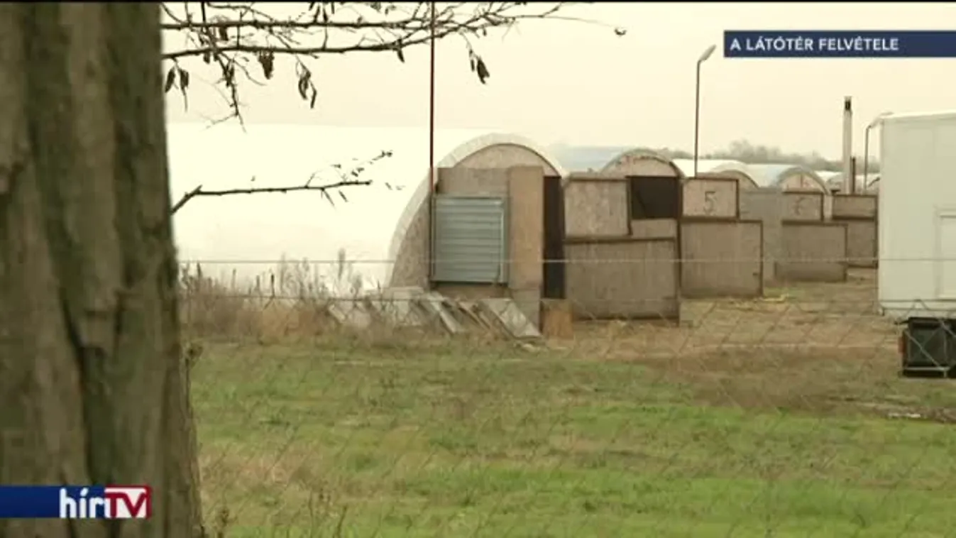 Kártalanítás a madárinfluenza miatt