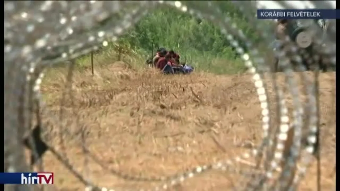 Newsroom – Bírálat