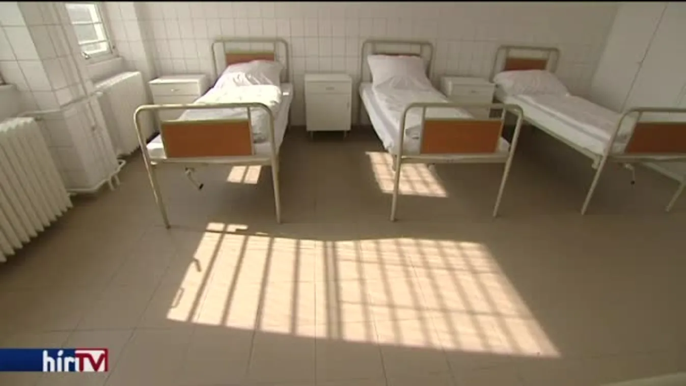 Patkányok lepik el a Merényi álmennyezetét