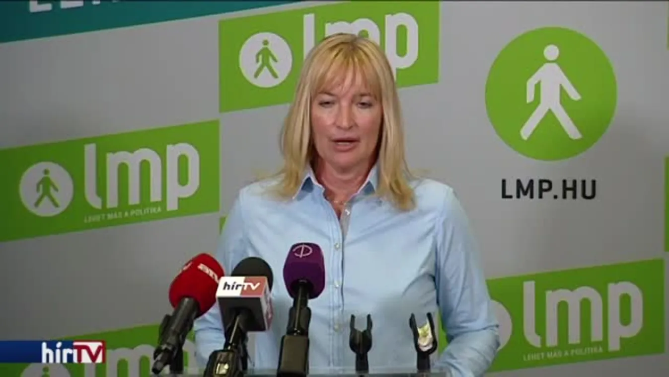 LMP: a kormány cserben hagyja az egyszülős családokat