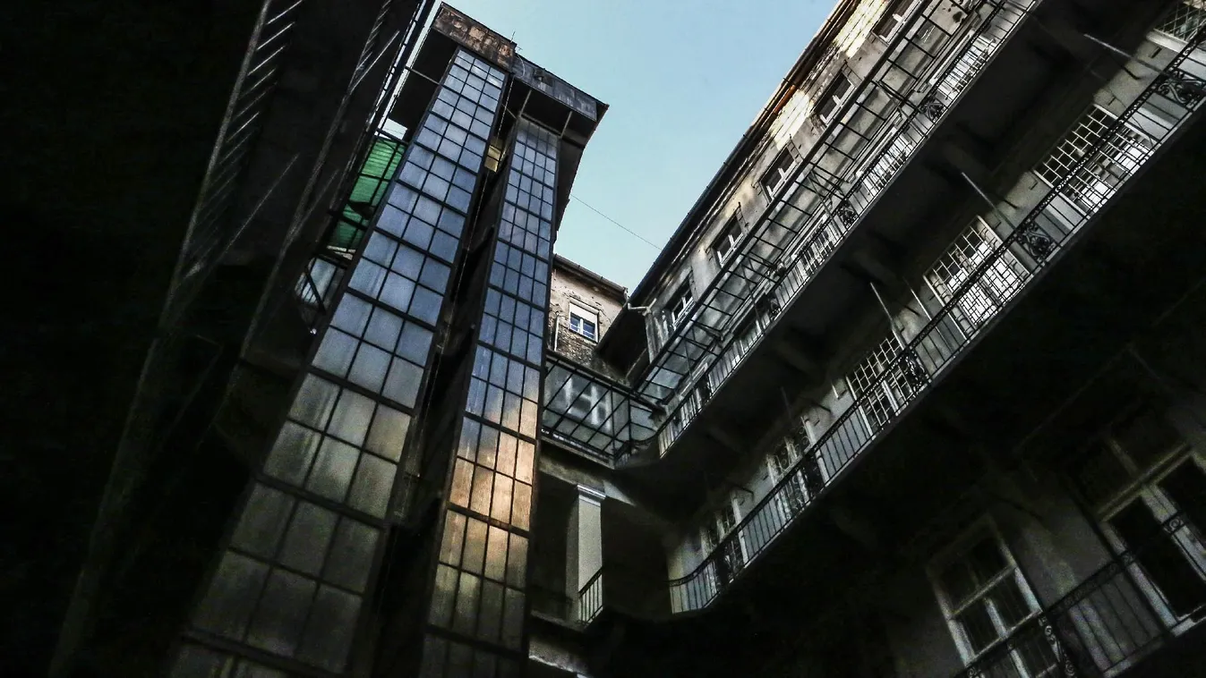 A mama, a cápa és a politika