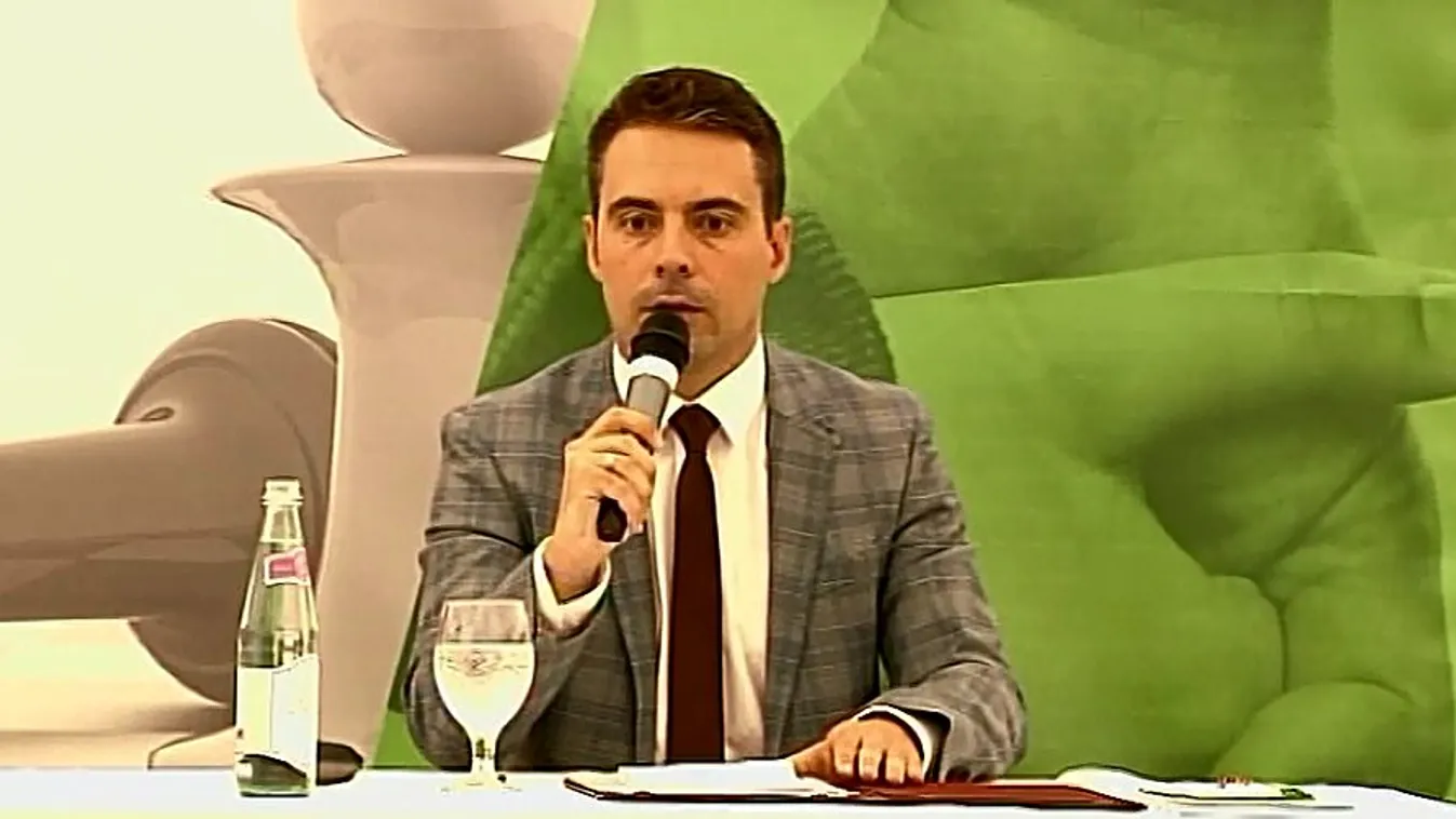 Vona: A Fidesz ellopta a polgári Magyarország zászlaját