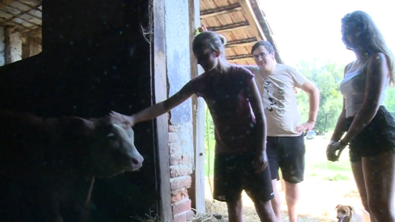 Az állattartó nagyi és unokái