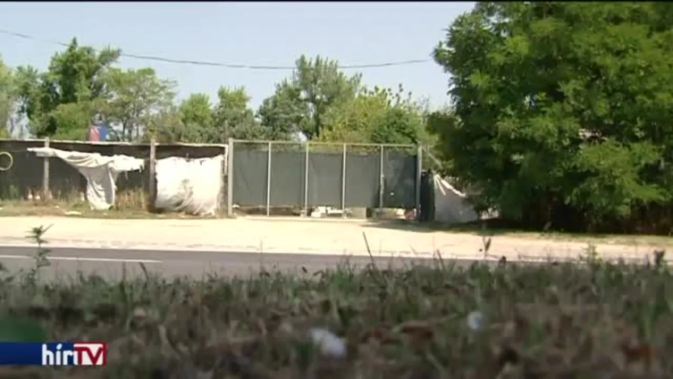 Patkányoktól és szeméttől irtóznak a csepeliek