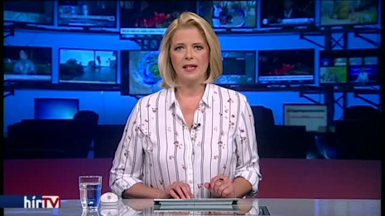 Vona: A Fidesz ellopta a polgári Magyarország zászlaját