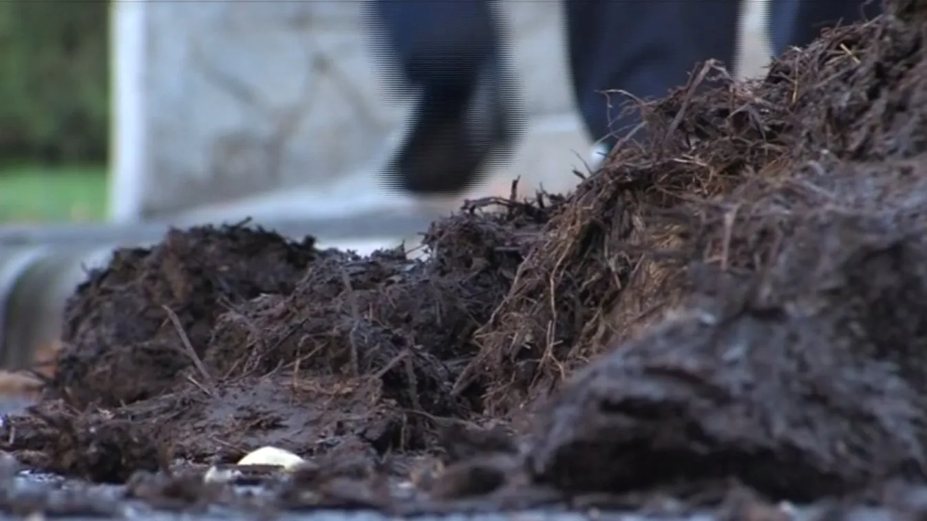 Végül csak lecsukhatják a trágyaborításon részt vevő gazdát