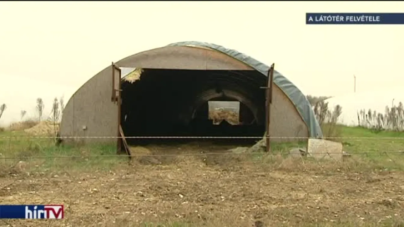 Kártalanítás a madárinfluenza miatt