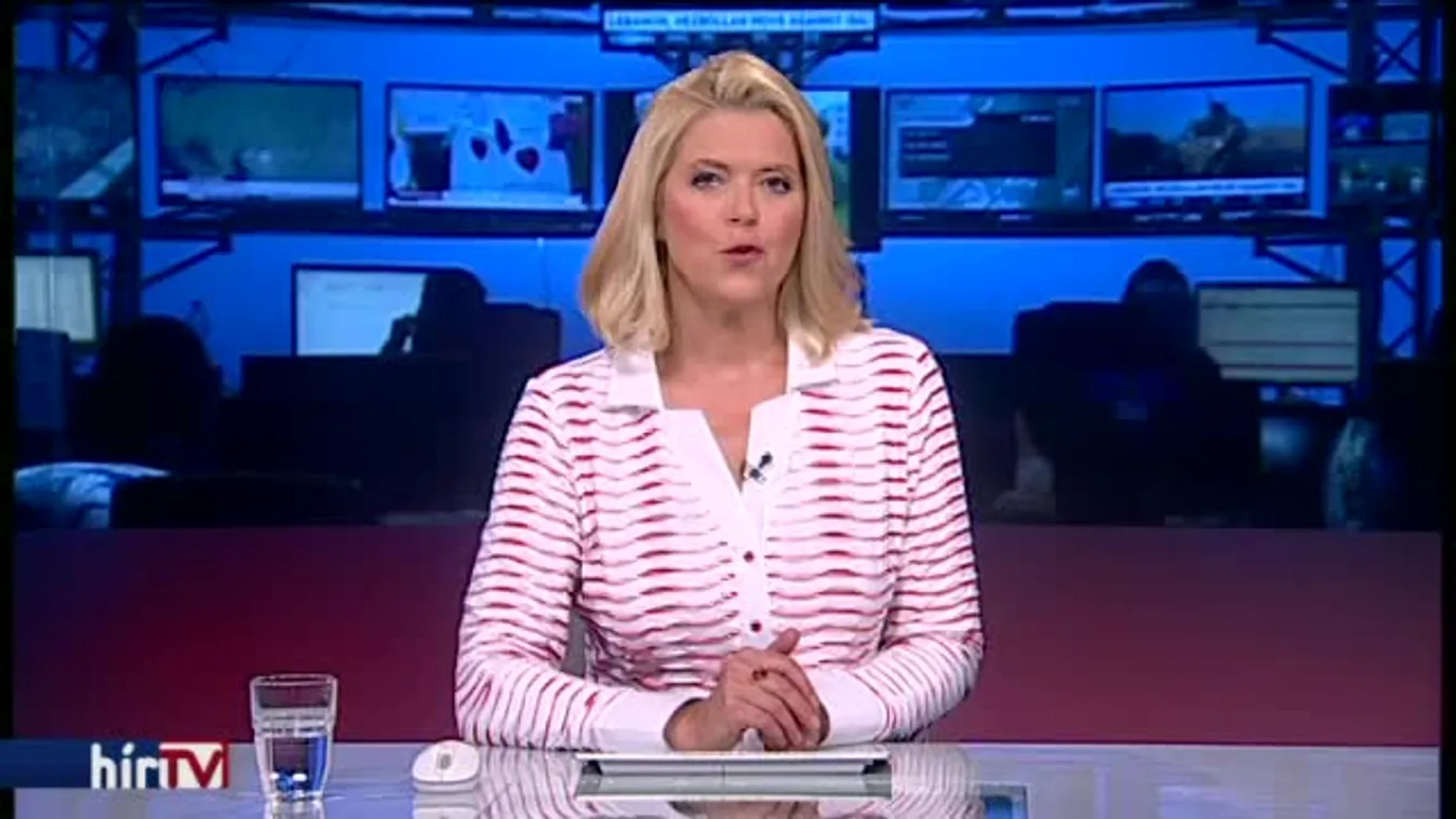 Tömegbe hajtott, baleset volt