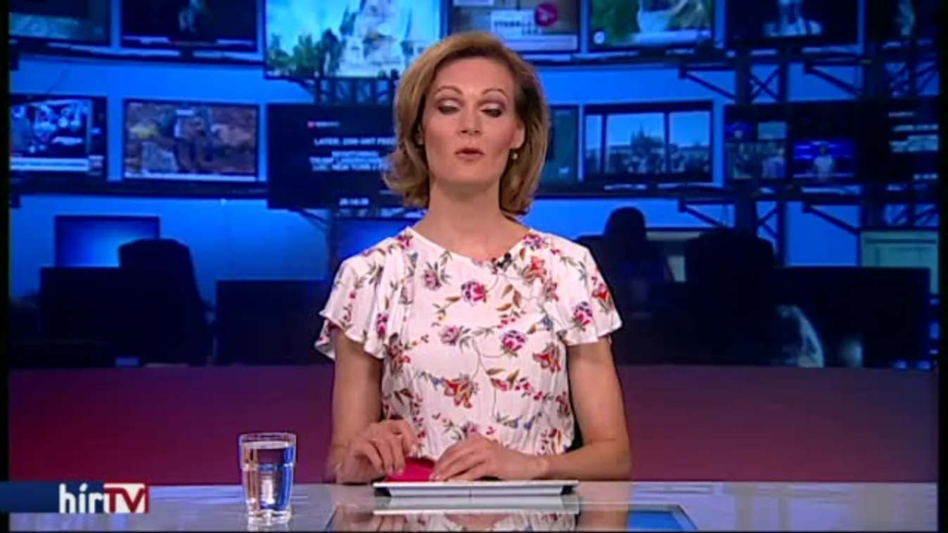 Charlottesville: Trump csak tájékozódni akart