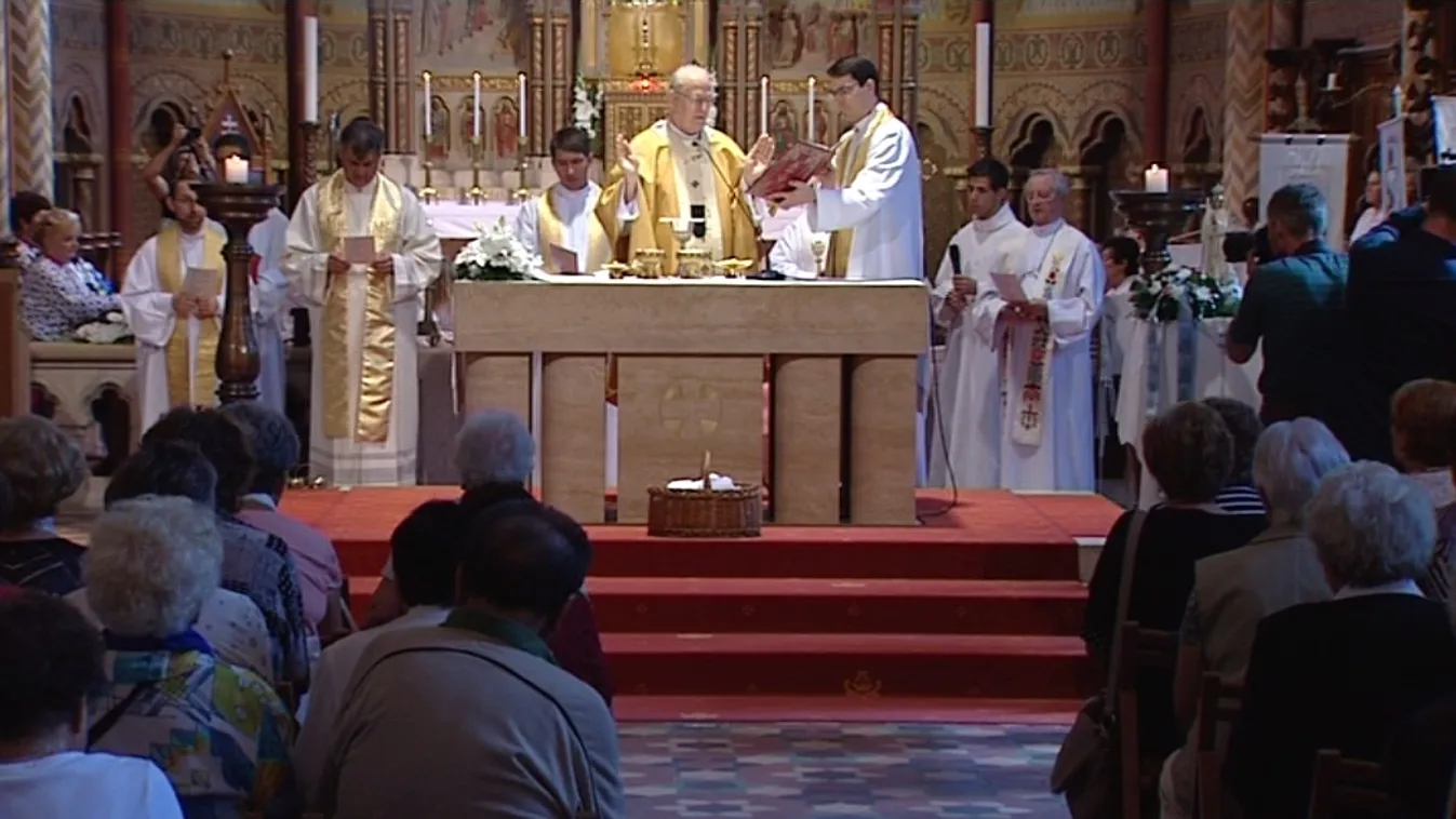 Erdő Péter nem beszélt a bűnnek tartott programról