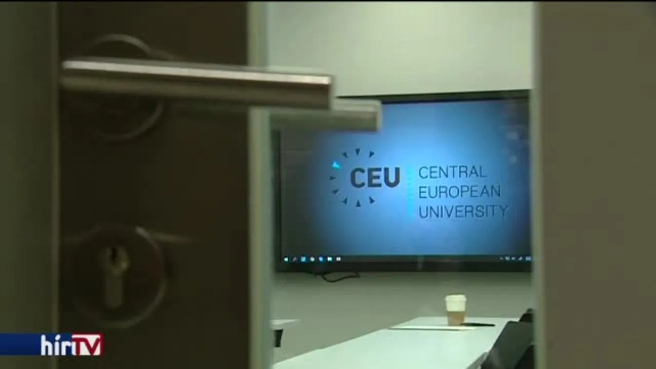 Newsroom – Válasz