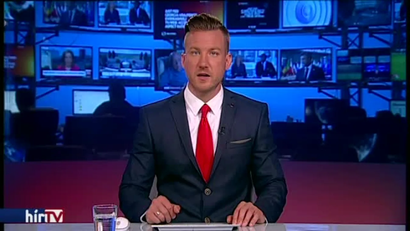 A tiltás ellenére megkezdték az erdőirtást