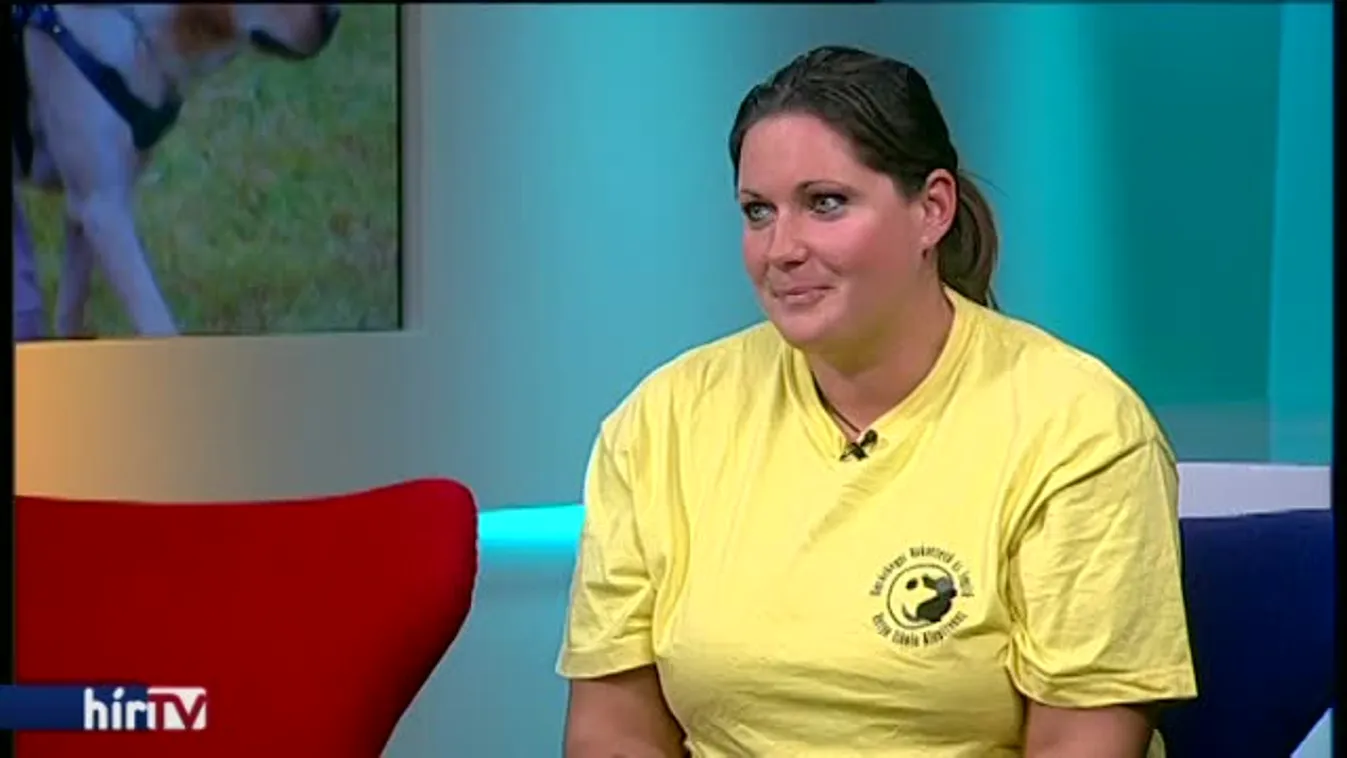 Reggeli járat - Kincs a labrador