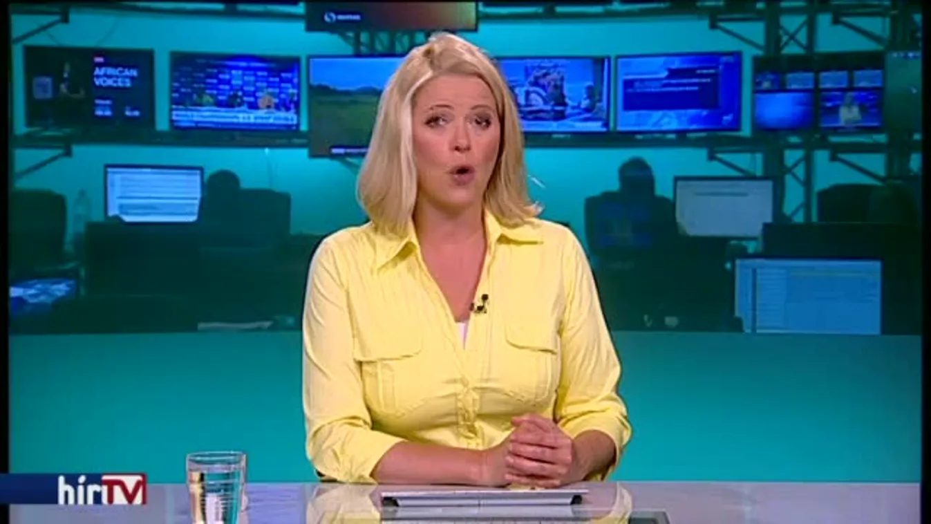 Mészáros a hűbéri rendszer mintája a briteknél