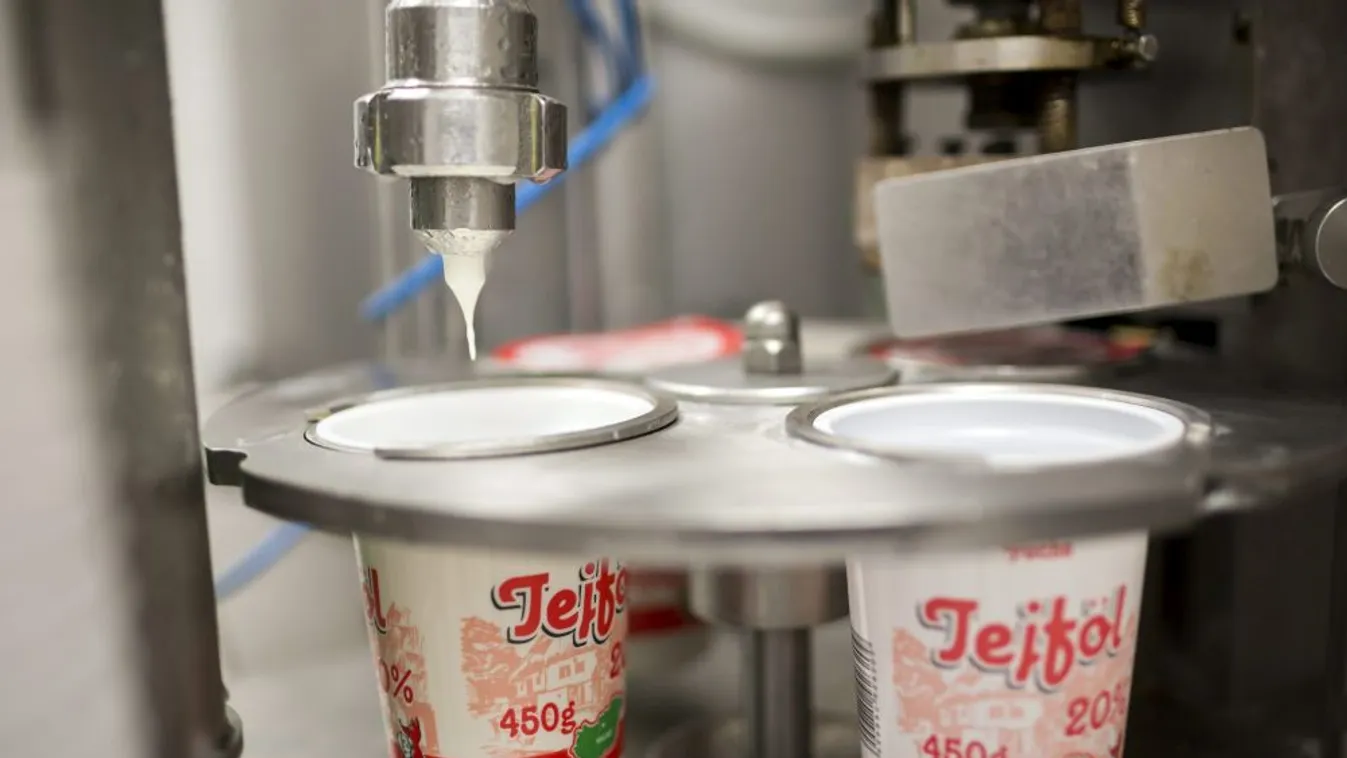 Egekben a tejszín és a vaj ára – Reggeli járat