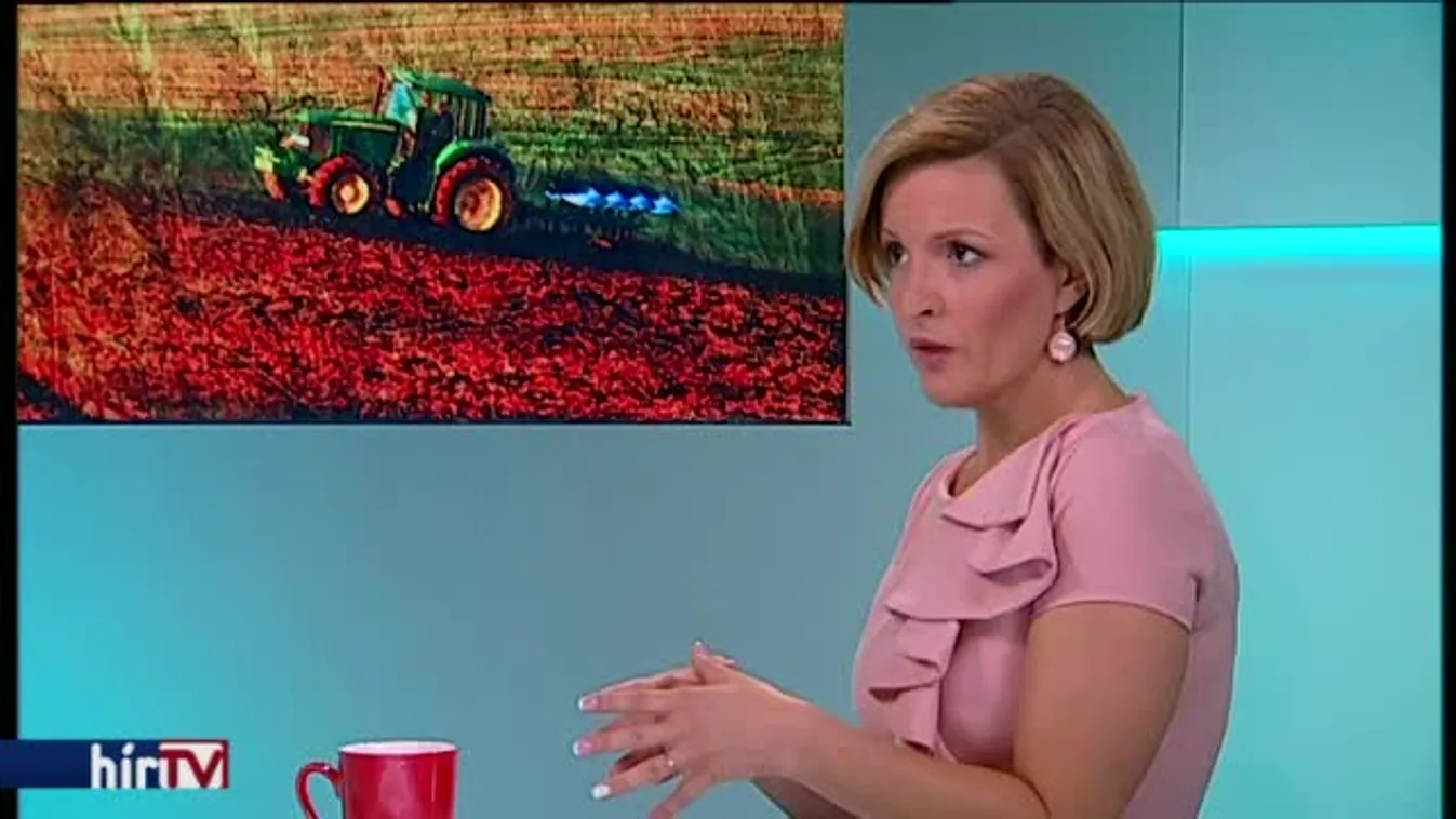 Reggeli járat - Kiskapu