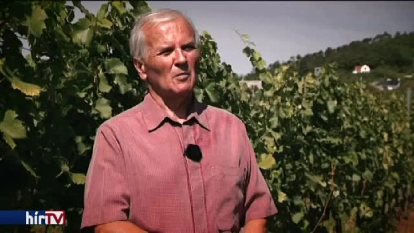 Látótér - Buli van