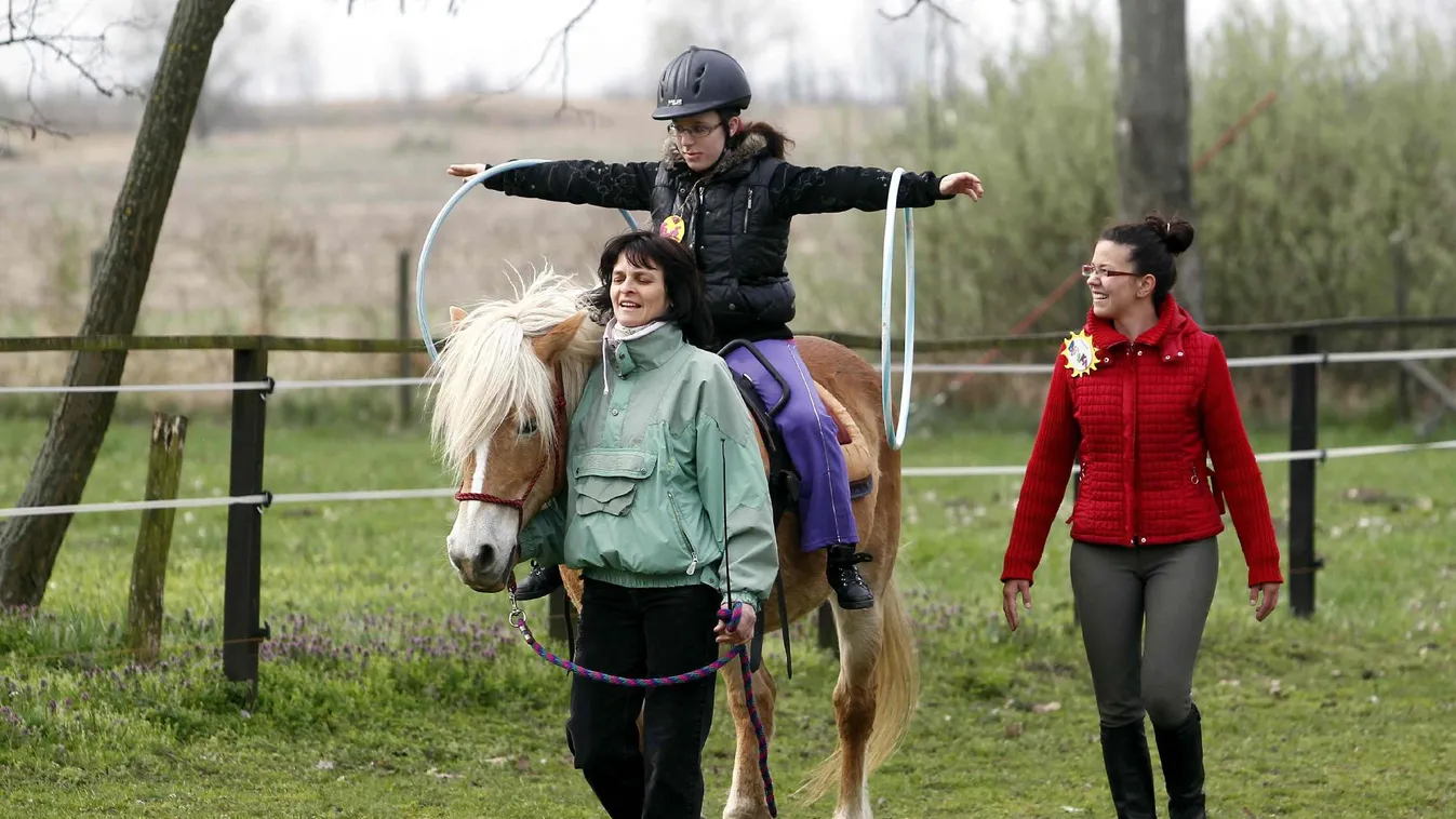 Egyszázalékos felajánlások: mindenkiből vesztes lett
