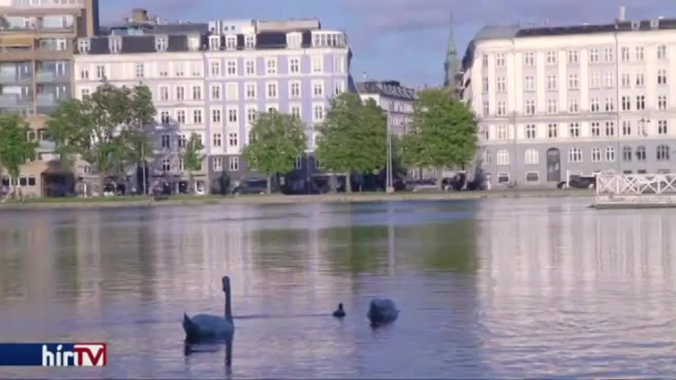 Cégalapítás egy koronából