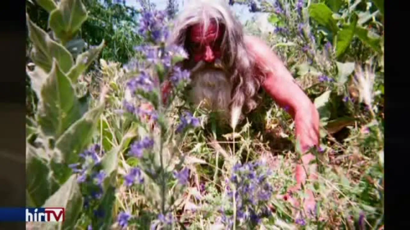 Alinda – Vendég: Selmeci Tibor, Gede Márton és Fekete Bernadett