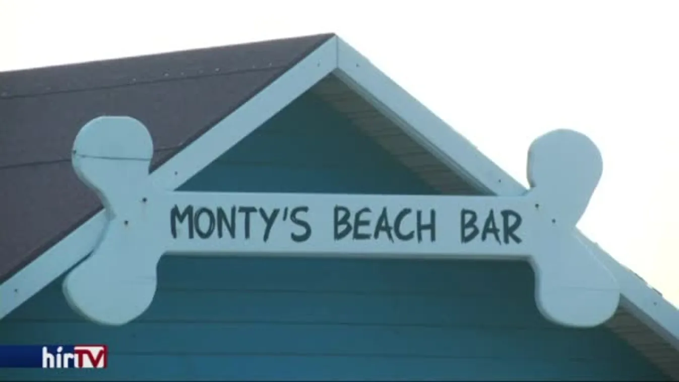 Felfedező - First dog