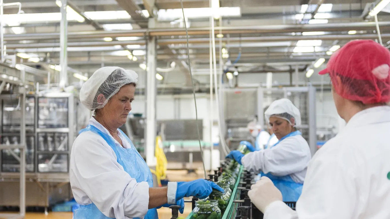 Ez így aligha szabadságharc: főként az uniós pénzek éltetik a beruházásokat