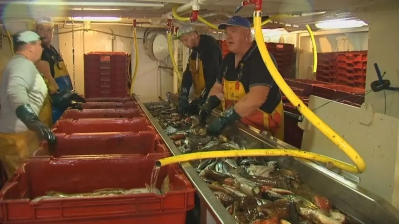 A halászok is pórul járhatnak a brexit miatt