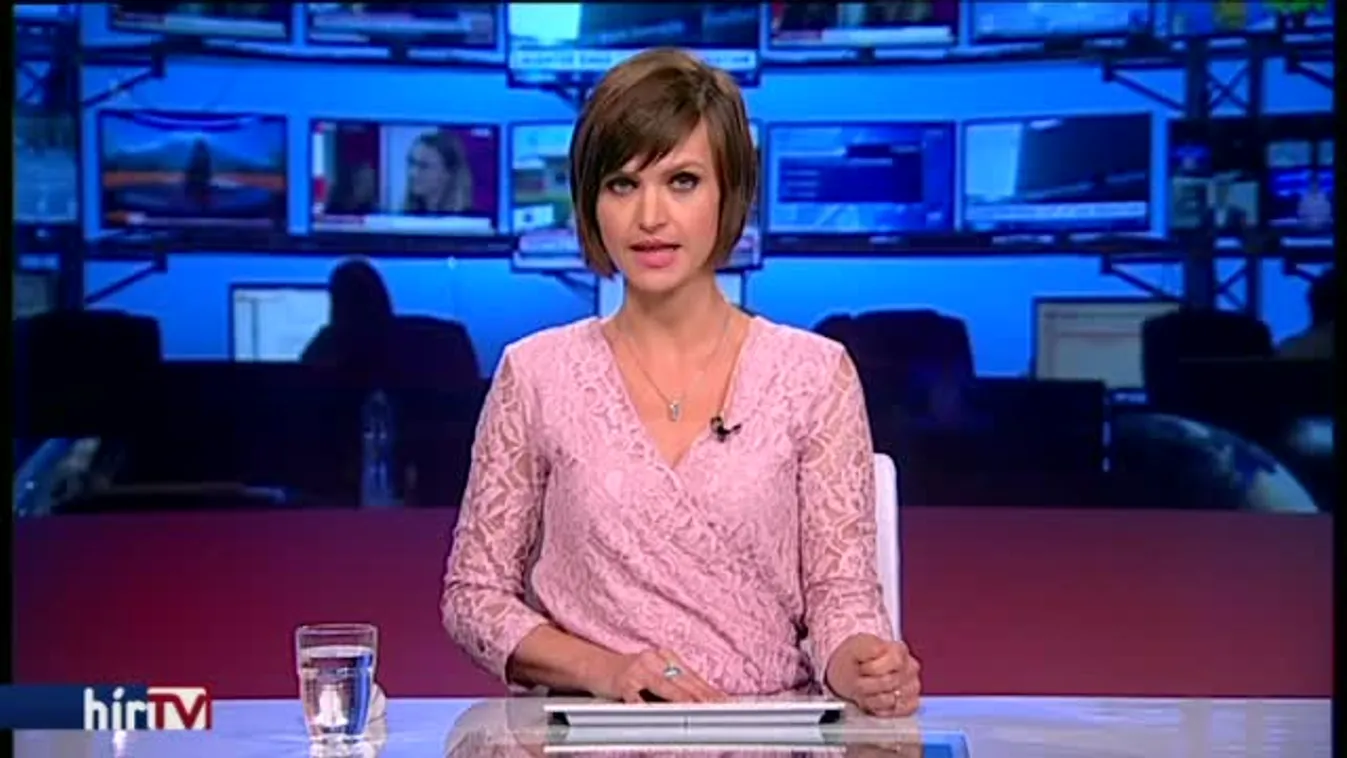 Százmilliós támogatás Matolcsy fiának