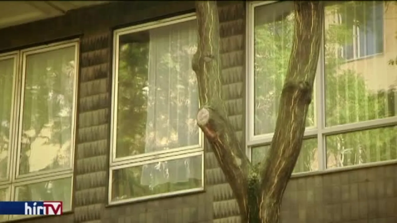 Panaszkönyv - Albérlet