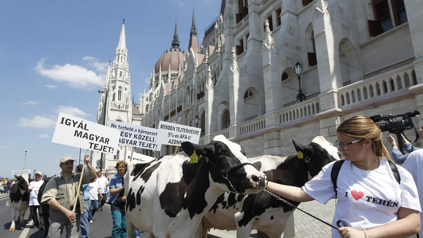 Szétveri a magyar piacot az olcsó importtej, áfacsalásra gyanakszanak