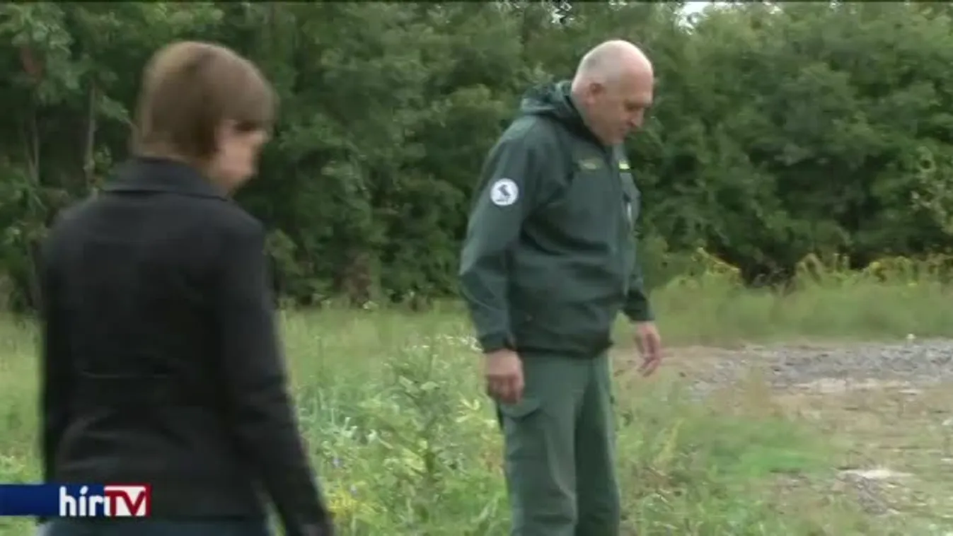 A legjobb védekezés a medve ellen, ha nem találkozik vele