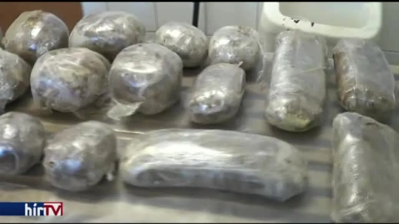 Drogültetvényt találtak Zalában