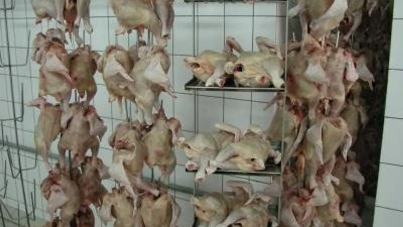 A Nébih ismét lecsapott