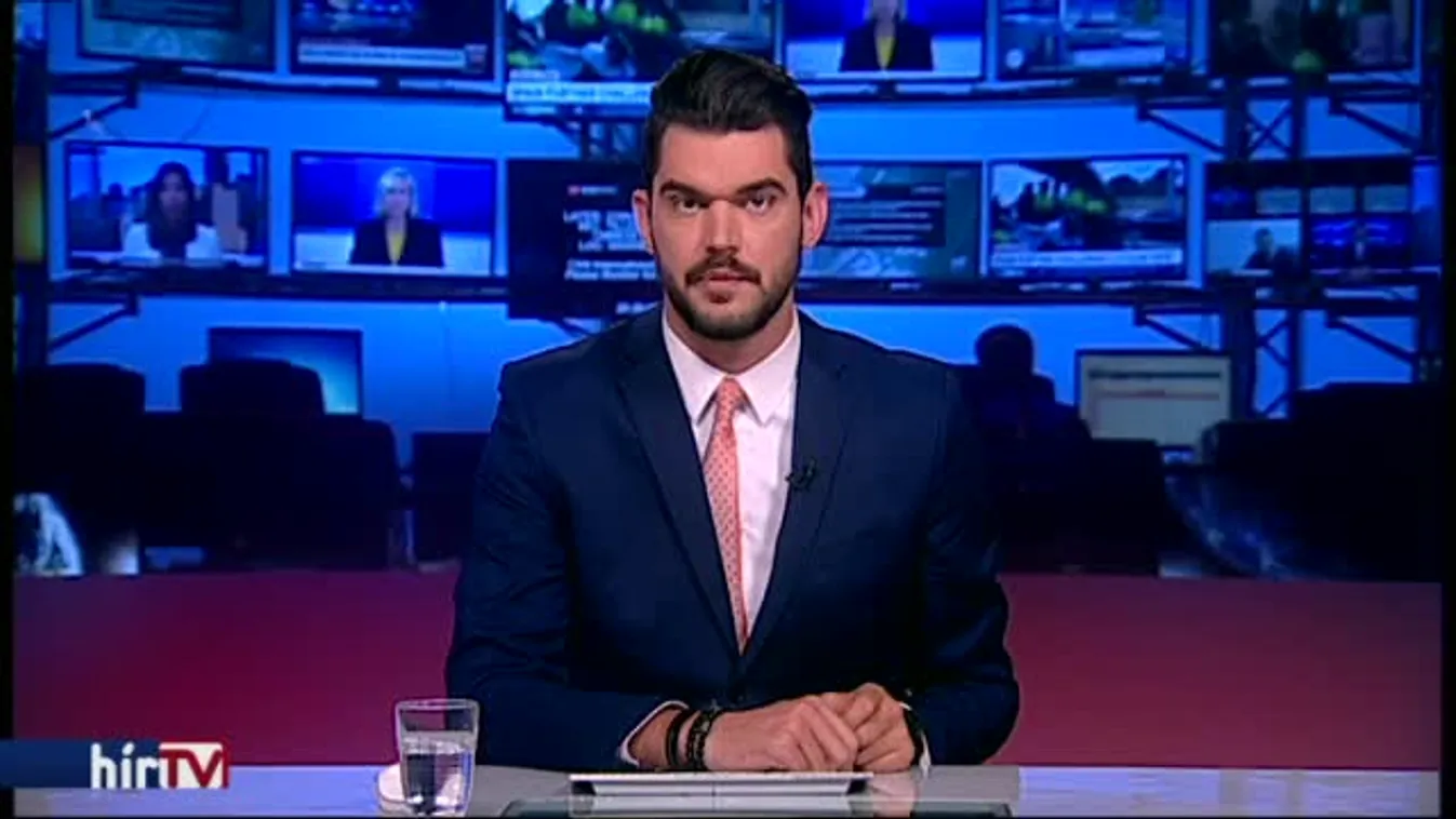 Gulyás precedenst akart teremteni a kártérítési perével