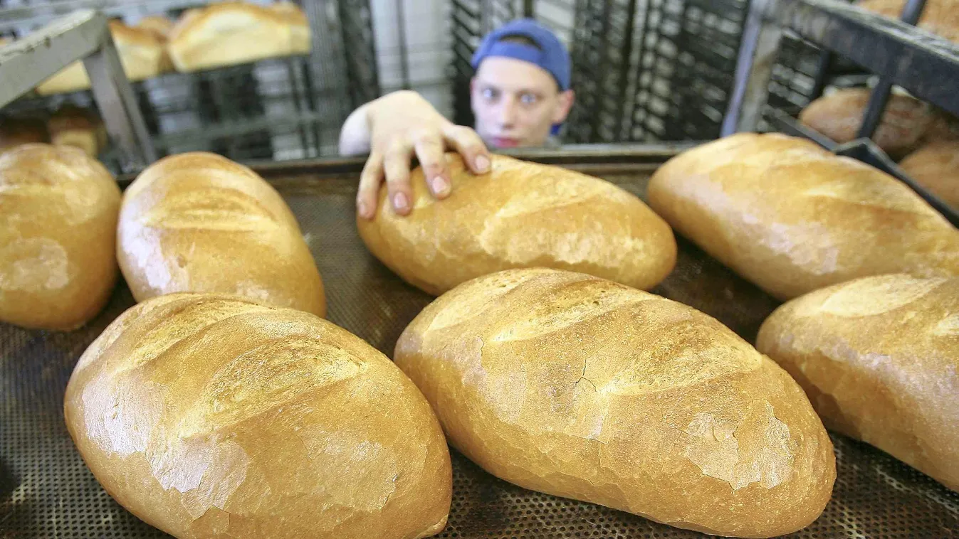 Emelhetik ősztől a kenyér árát a pékek