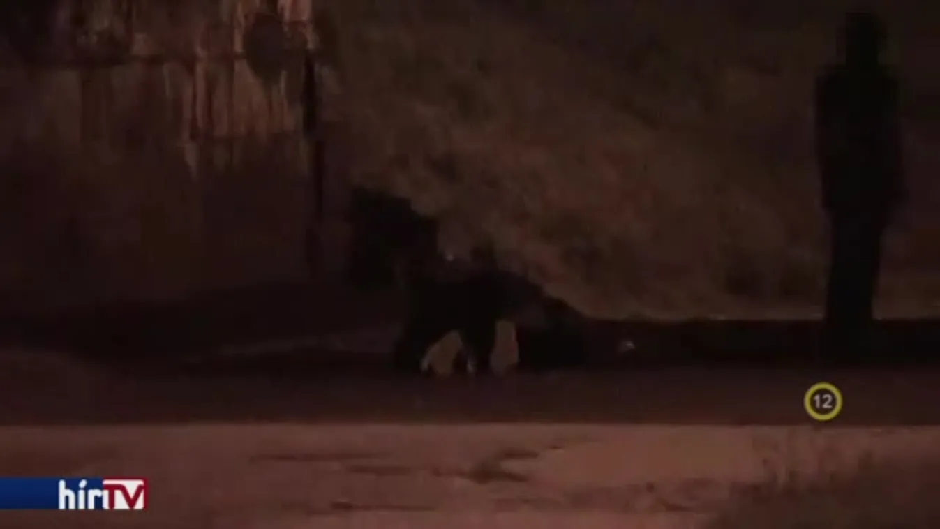 Riasztás – Rossz propaganda