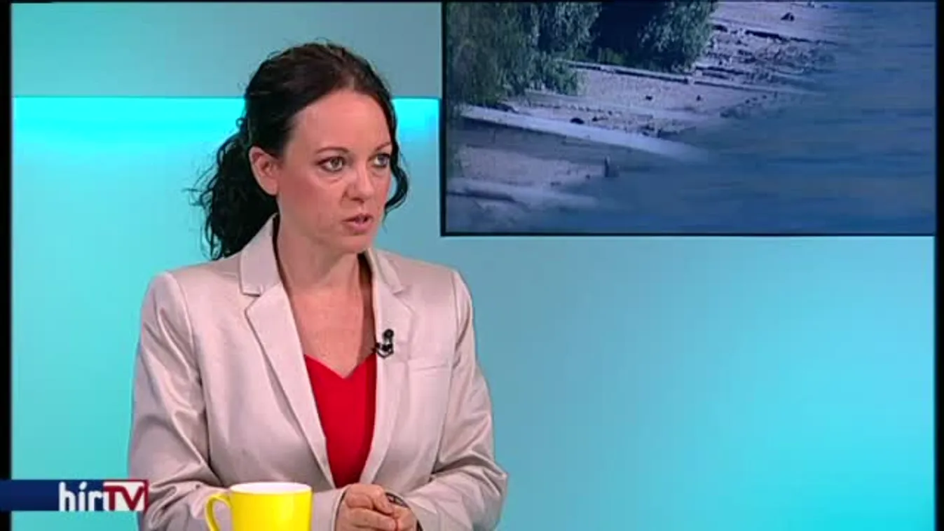 Szabó Tímea szerint a mutyiról szól a mobilgát ügye