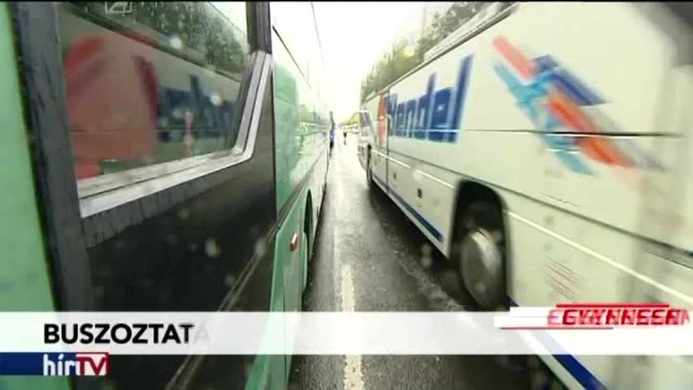 Egyenesen - Homo brüsszelikusz