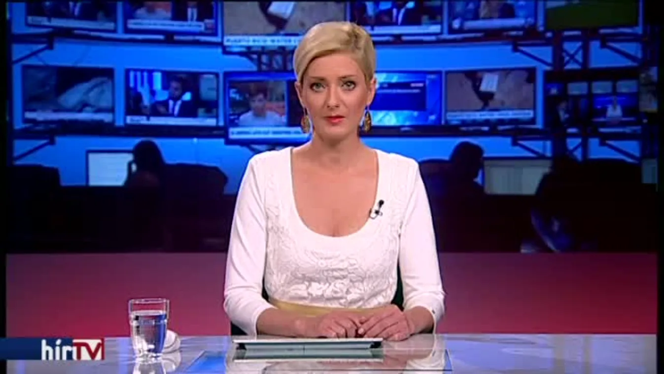 Mégis lesz vitanap a devizahitelesekről