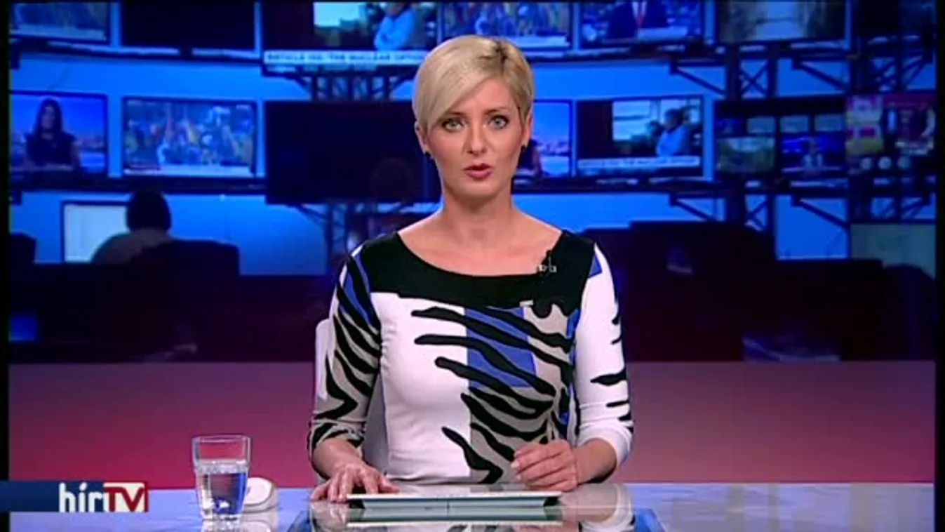 Órákig tartott míg kimentették a kutyát a víznyelőből