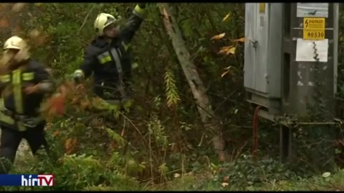 Több mint 3000 bejelentés és 300 milliós kár