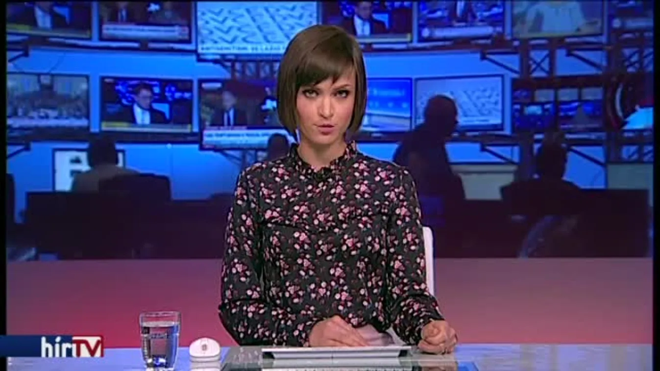 Áder: fenntartható fejlődésre van szükség