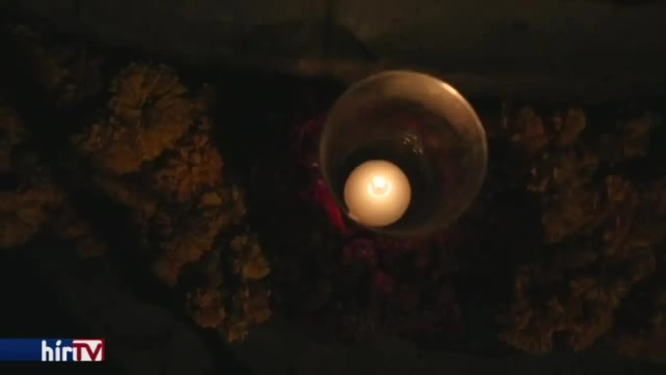 Felfedező - Csontvázak