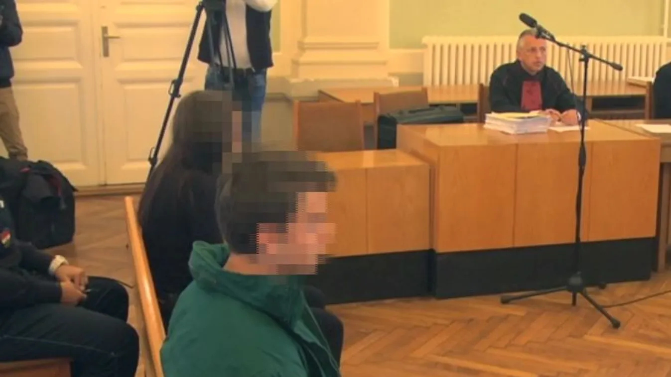 Megtört a kihallgatáson, kilenc évet kapott