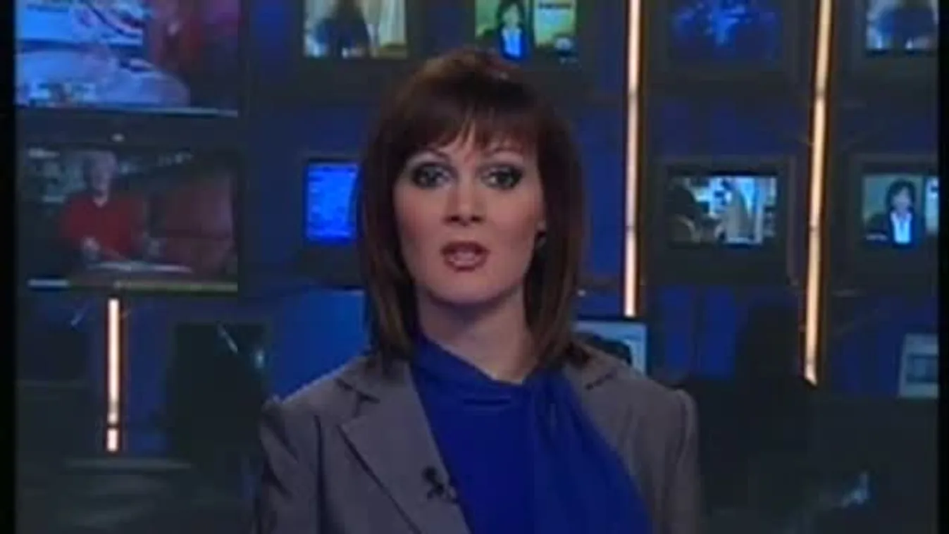 Járólapokat lopott a szocialista képviselő